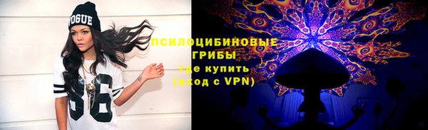 индика Алзамай