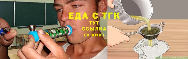 индика Алзамай