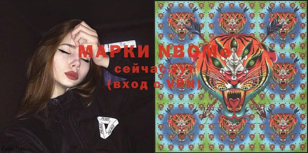 индика Алзамай