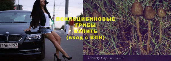 индика Алзамай