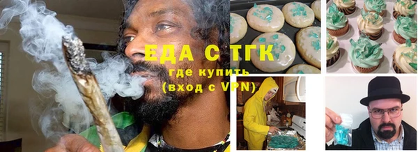 индика Алзамай