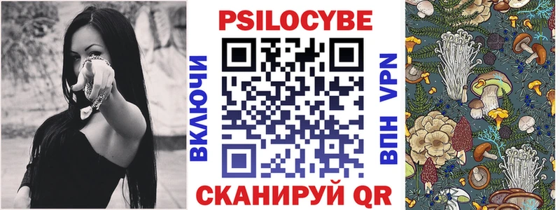 Галлюциногенные грибы Psilocybe  Пермь 