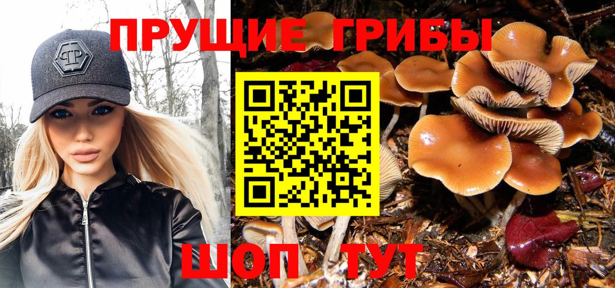 Пермь  Псилоцибиновые грибы Psilocybine cubensis  Псилоцибиновые грибы Magic Shrooms  Вход с VPN 